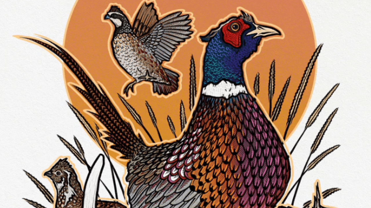 Illustration of pheasant with smaller birds, grasses, antlers, and an orange sun.